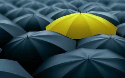 Becoming The Obvious Choice In A Sea of Competition