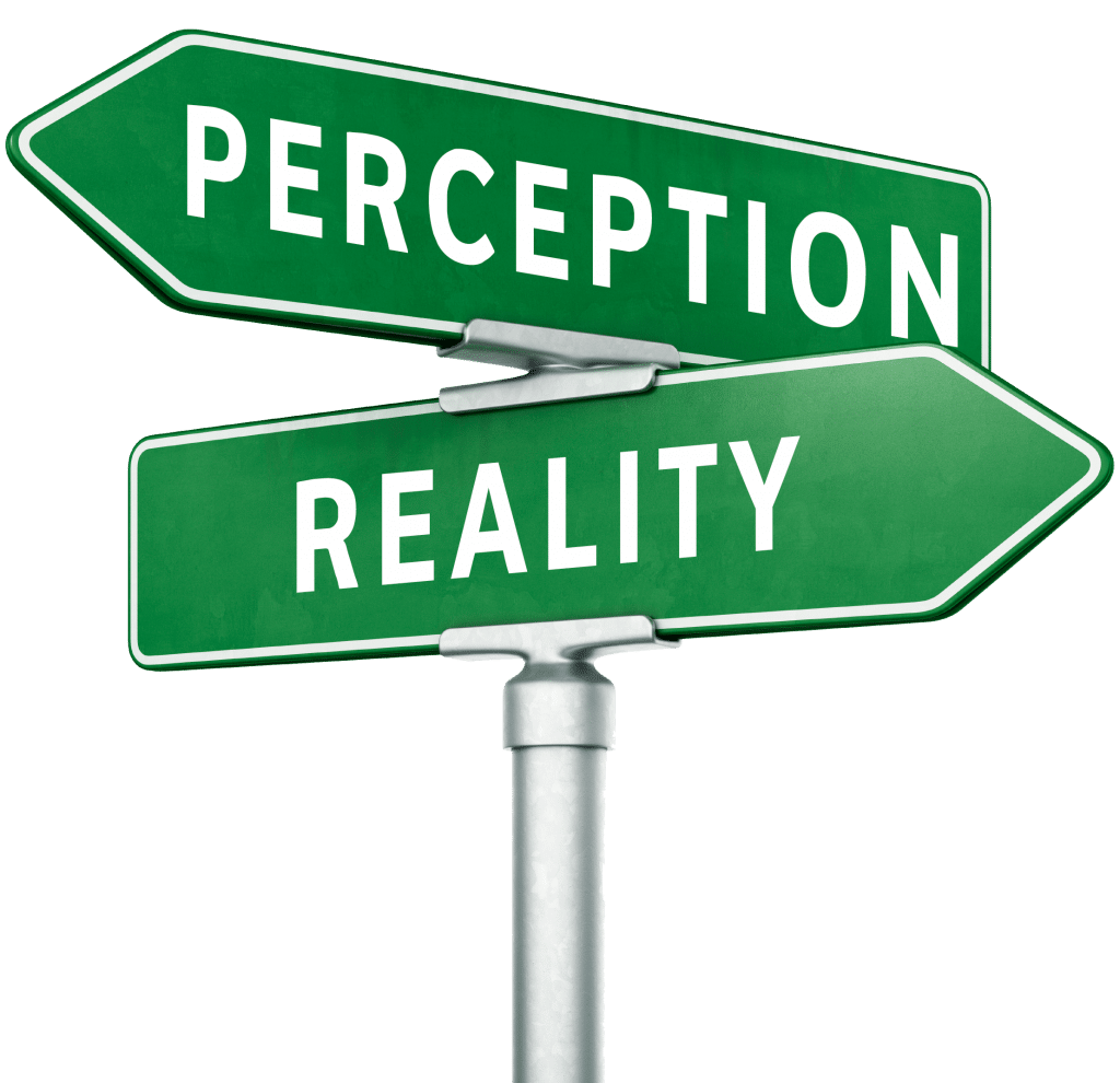 reality and perception